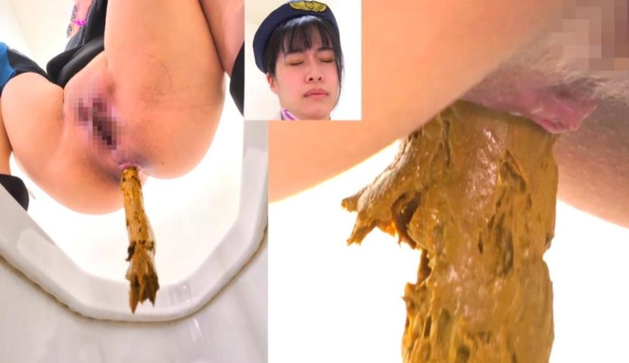 Long Shit on Western and Japanese Style Toilets 2025 (BFEE-301) [FullHD/1920x1080]
