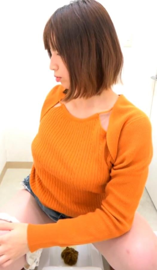 Voyeur Farting and Shitting in the Toilet トイレでオナラとウンコをする盗撮 2025 (BFSR-683) [FullHD/1920x1080]