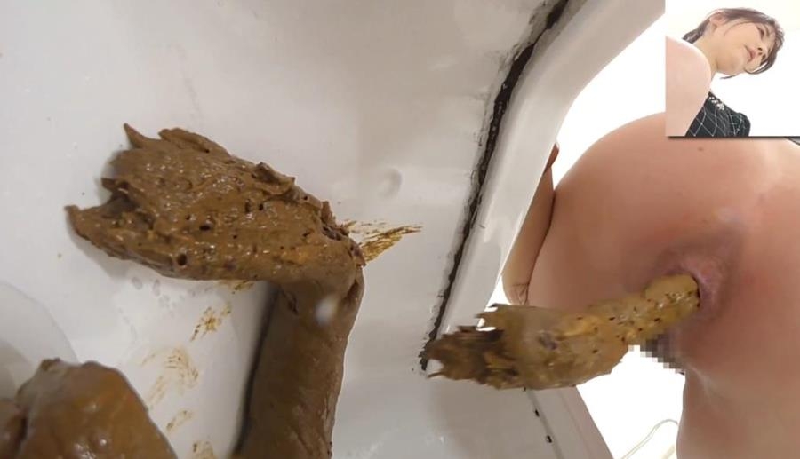 洋式トイレと和式トイレでウンコする Long Shit Japanese Toilets 2026 (BFEE-320) [FullHD/1920x1080]